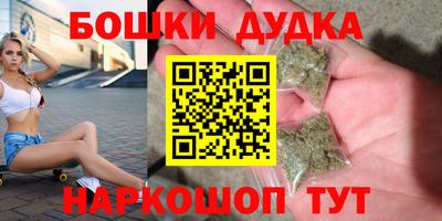 гидра Дубна
