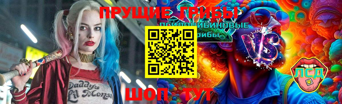 Галлюциногенные грибы Psilocybine cubensis Коммунар