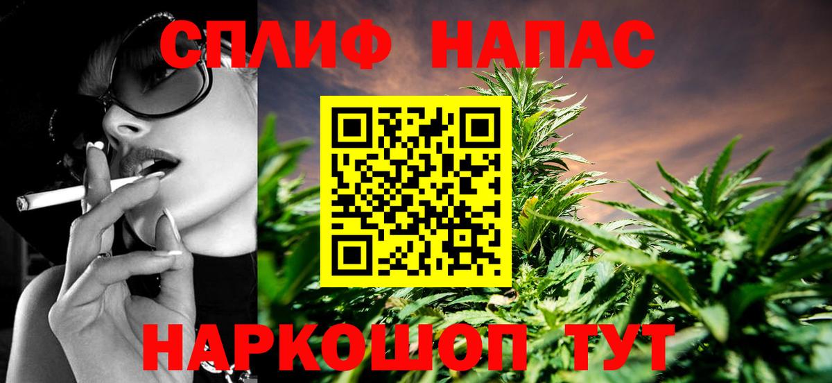 Каннабис сатива Коммунар